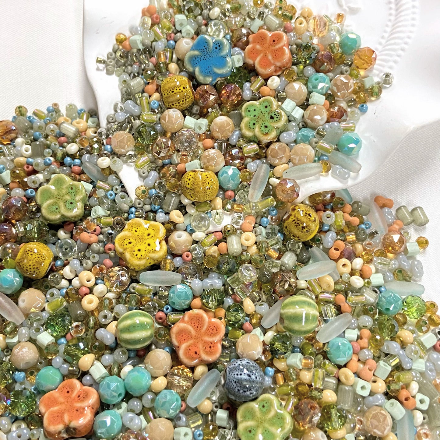 Tiny Forest
