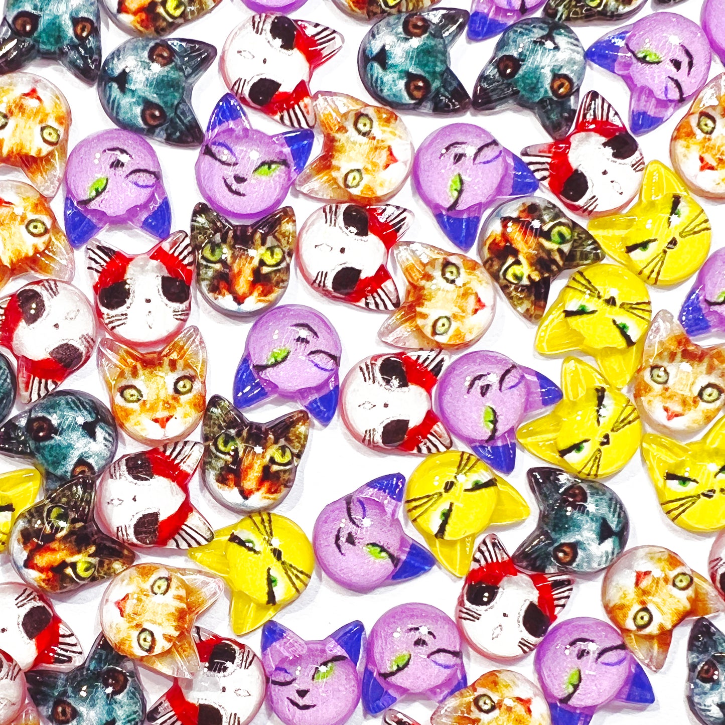 Winky Cat