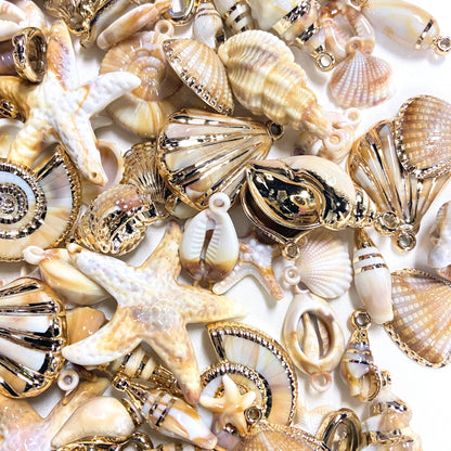 Coastal Shells