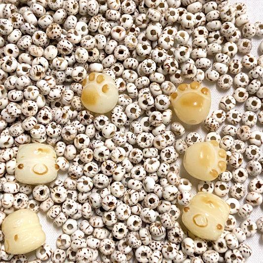 Bodhi Starlight Kitty