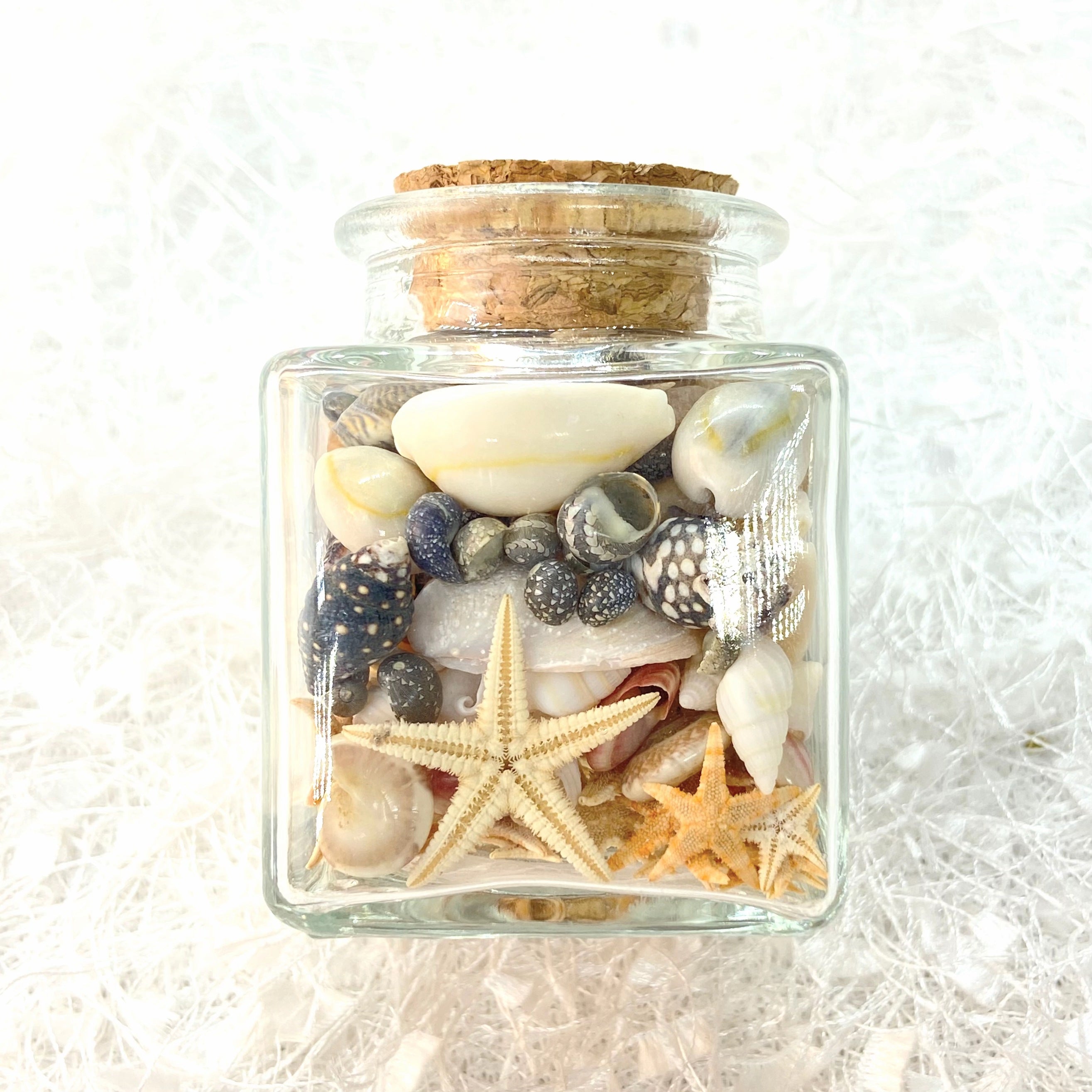 Holiday in a Jar
