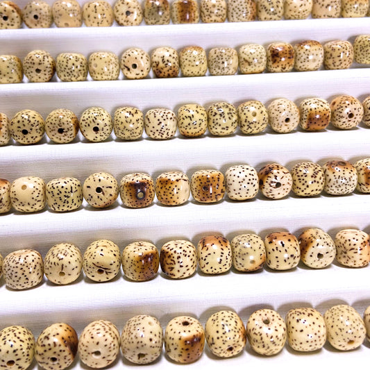 Bodhi Star Moon Burnt